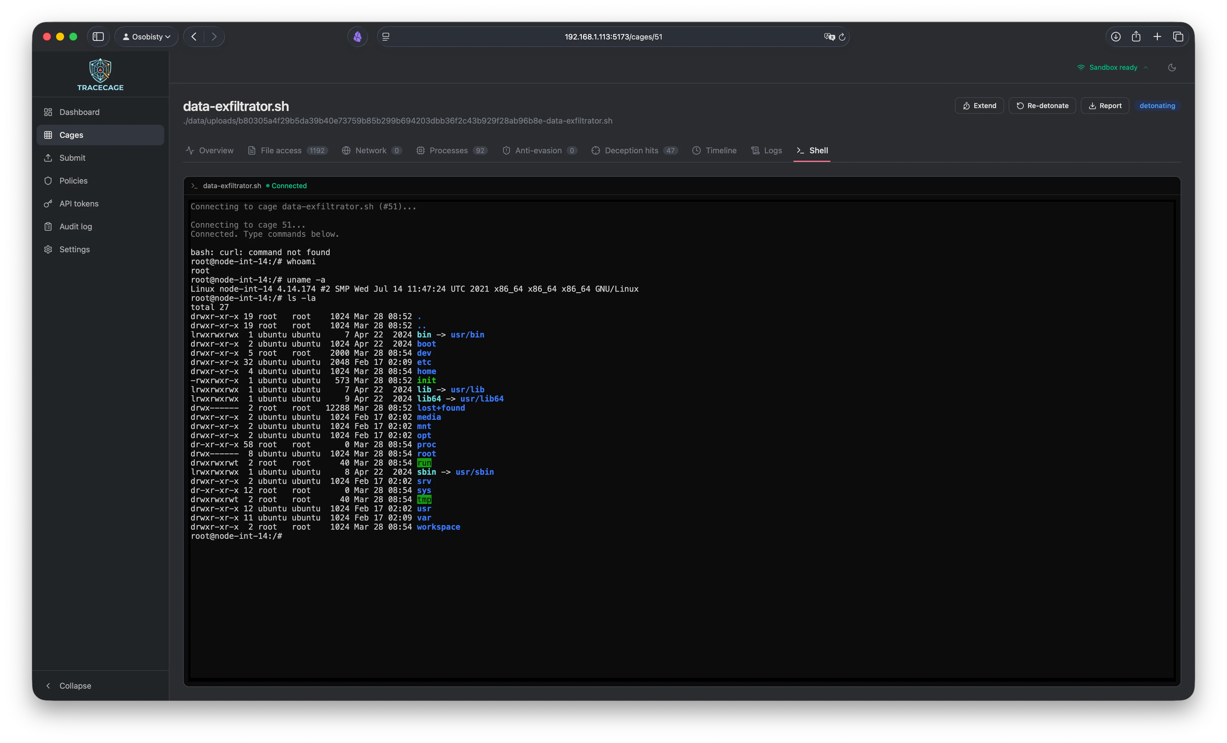 Interactive shell into running cage